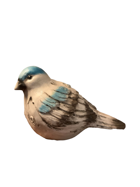 Large Blue Bird