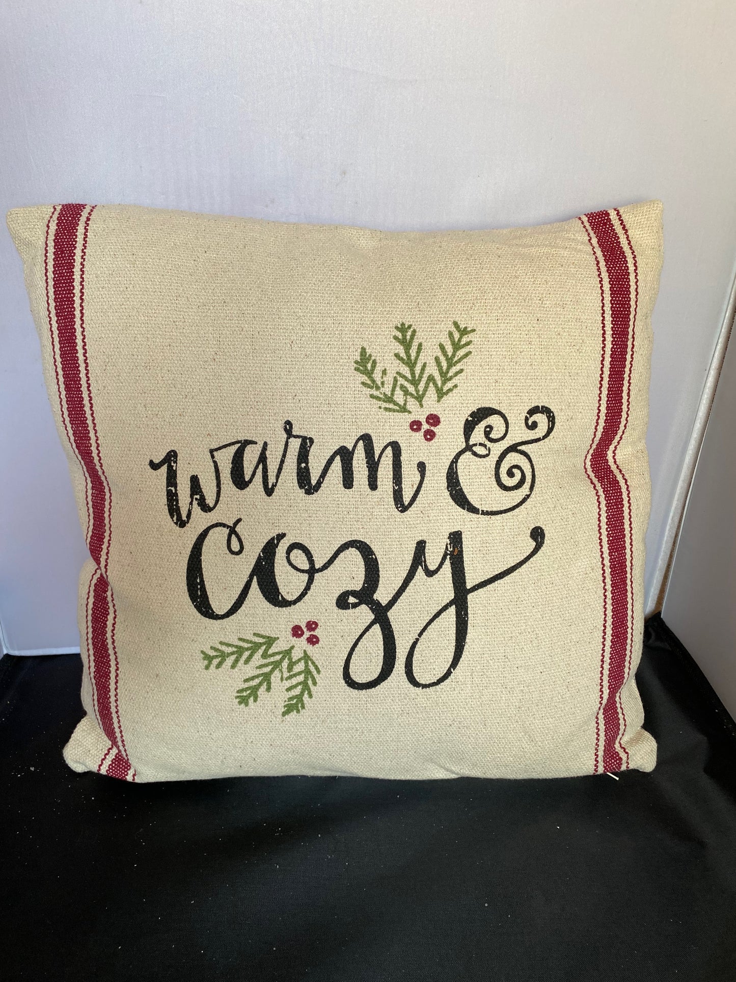Warm & Cozy Pillow
