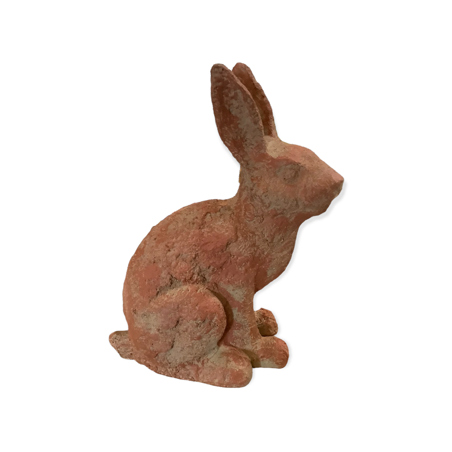 Rustic Red Rabbit
