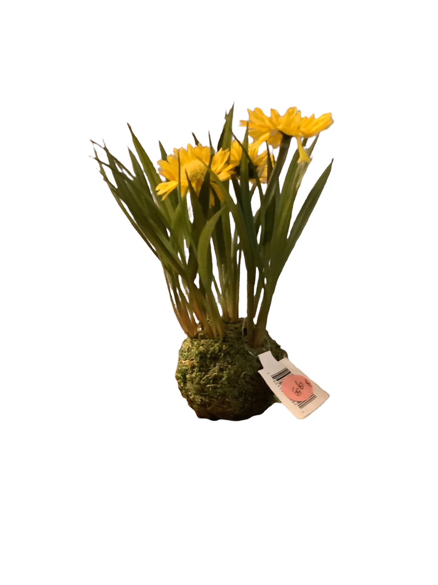 Small Yellow Clump of Flowers