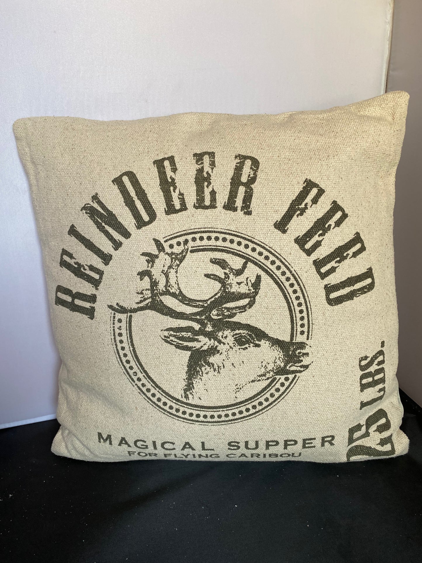 Reindeer Feed Pillow